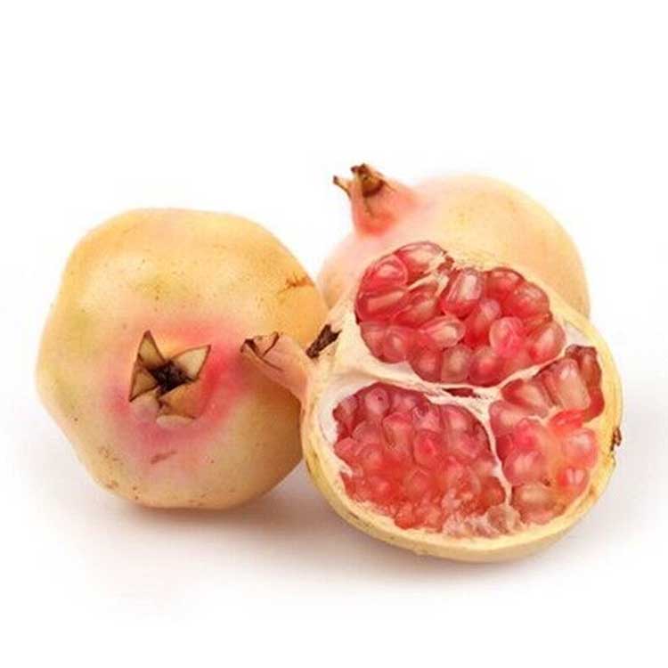 蒙自石榴